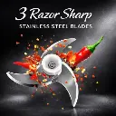 1000272223.webp
